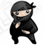 System Ninja