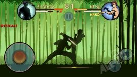 Shadow Fight 2